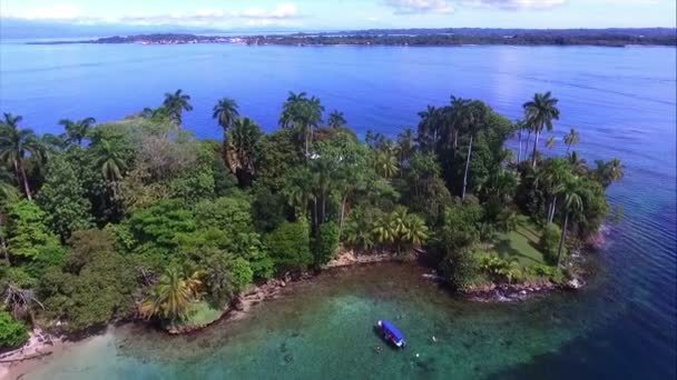 処女のままのカリブ海の島の空中ドローン ビュー ターコイズ ブルーの海 白い砂浜 ヤシの木 サンゴ礁は 素晴らしい熱帯の風景を構成します パナマ ボカスデルトロのプンタ病院 — ストック動画