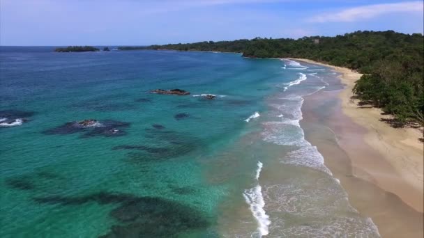 Девственный Нетронутый Карибский Остров Видом Беспилотник Бирюзовые Воды Золотистые Песчаные — стоковое видео