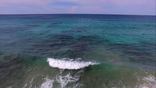 処女のままのカリブ海の島の空中ドローン ビュー ターコイズ ブルーの海 黄金の砂浜 ヤシの木 サンゴ礁は 素晴らしい熱帯の風景を構成します パナマ ボカスデルトロの — ストック動画