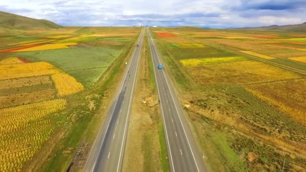 Carretera Rústica Con Plantaciones Floreadas Quinua Vista Aérea Drones Amaranto — Vídeo de stock