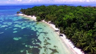 Bakire bozulmamış Caribbean Island Hava dron view. Turkuaz suları, beyaz kumlu plajları, palmiye ağaçları ve mercan resifleri kadar müthiş bir tropikal peyzaj olun. Carenero ada Bocas del Toro, Panama.