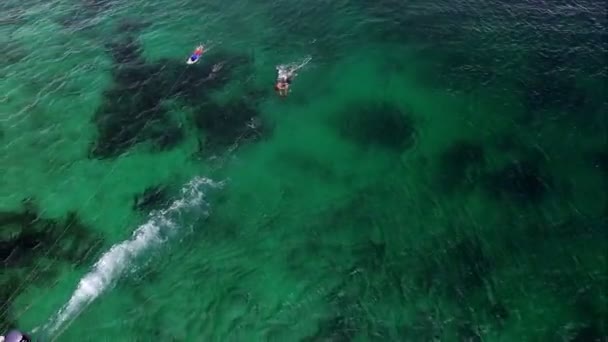 Tabla Anfibia Practicando Deportes Acuáticos Los Trópicos Deportes Aventura Aguas — Vídeo de stock