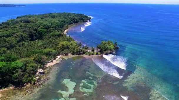 処女のままのカリブ海の島の空中ドローン ビュー ターコイズ ブルーの海 白い砂浜 ヤシの木 サンゴ礁は 素晴らしい熱帯の風景を構成します パナマ ボカスデルトロの — ストック動画