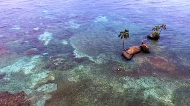 Snorkeling Nella Barriera Corallina Caraibica Accanto Drone Verticale Cay Zapatilla — Video Stock