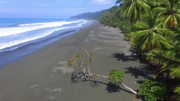 Неиспорченный Карибский Тропический Беспилотник Пляже Корковадо Синие Нетронутые Воды Черные — стоковое видео