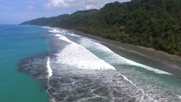 Bakire Bozulmamış Karayip Tropik Corcovado Beach Hava Dron Mavi Saf — Stok video