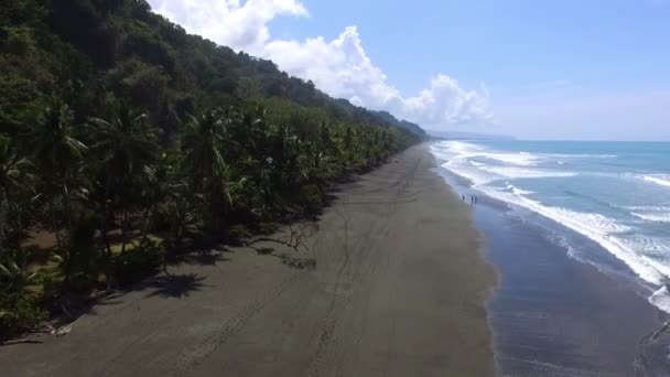 Vergine Incontaminata Caraibi Tropicale Corcovado Spiaggia Drone Aereo Acque Blu — Video Stock