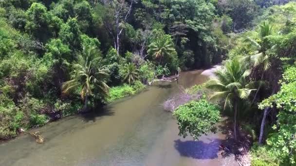 Virgin Unspoiled Caribbean Tropical Corcovado River Aerial Drone Green Tropical — Stock Video