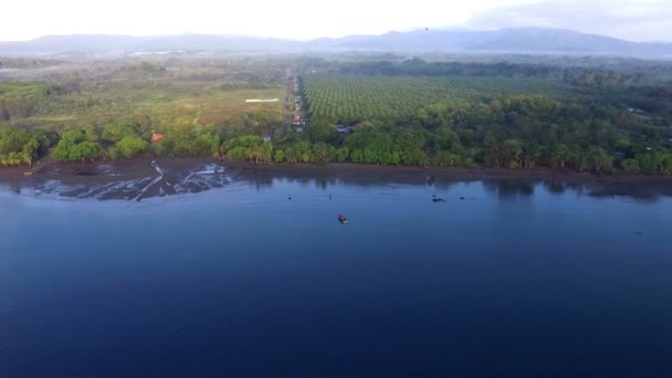 原始未损坏的加勒比热带海滩在香蕉种植园旁边 蓝色的原始水域 黑色的沙滩和棕榈树构成了一个令人敬畏的热带景观 敬畏空中无人机视图 — 图库视频影像