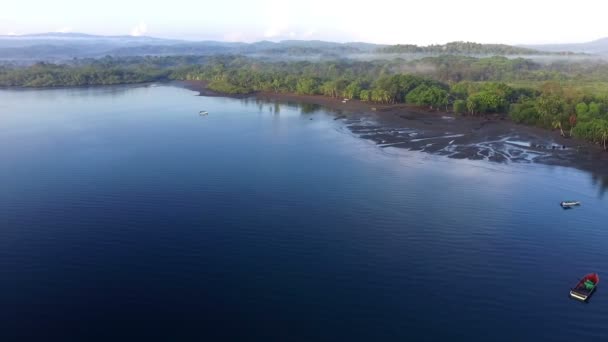 Playa Tropical Virgen Del Caribe Junto Plantaciones Plátanos Las Aguas — Vídeos de Stock