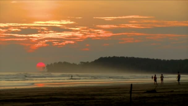 Praia Caribenha Virgem Intocada Pôr Sol Sol Dourado Vermelho Luz — Vídeo de Stock