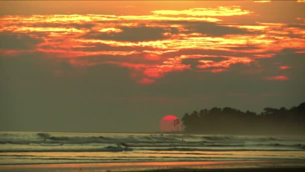 Praia Caribenha Virgem Intocada Pôr Sol Sol Dourado Vermelho Luz — Vídeo de Stock