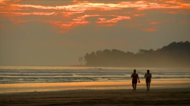 夕暮れ時処女のままカリブ海のビーチ 砂浜の上に黄金と赤の太陽明るい光は 素晴らしい熱帯の風景を確認します 夜明けに壮大なカラフルな背景 — ストック動画