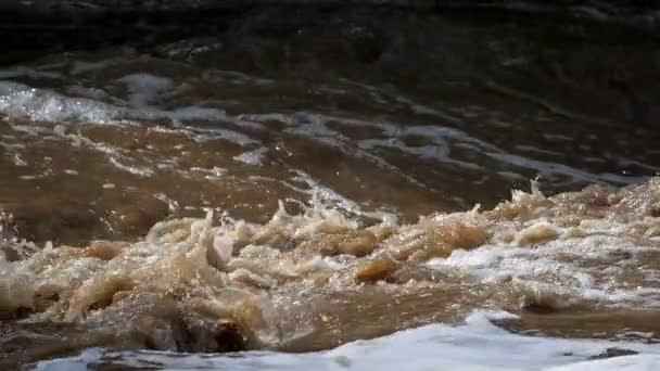 Rio Transbordante Águas Selvagens Câmera Lenta Rio Caribe Americano Floresta — Vídeo de Stock