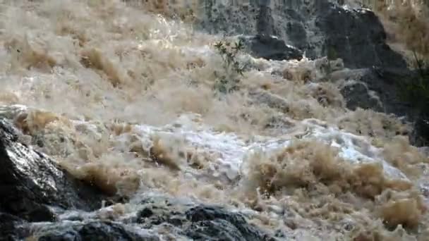 スローモーションで野生河水をあふれています アメリカ カリブ熱帯雨林の川 コスタリカの川のオーバーフロー — ストック動画