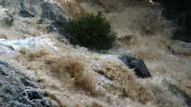 Överfyllda River Wild Waters Realtid Amerikanska Caribbean Älv Regnskogen Översvämningen — Stockvideo