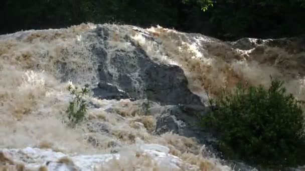 スローモーションで野生河水をあふれています アメリカ カリブ熱帯雨林の川 コスタリカの川のオーバーフロー — ストック動画