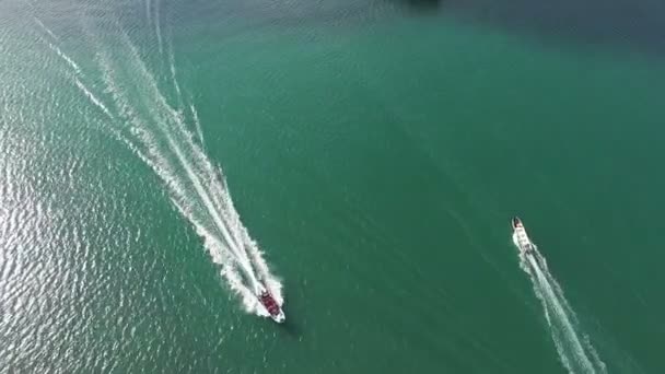 カリブ海空中ドローン ビューでフルスピードでセーリング ヨット ターコイズの原始的な透明な水に高速船をフルします 海での休日 パナマの海岸沿いのボート旅行を取る — ストック動画