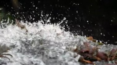 Vahşi nehir cascade sıçramasına suları süper ağır çekim kapatın. Vahşi doğada su sıçramasına. Süper düşük hız su bırakır. Yavaş hareket detaylı su damlaları.
