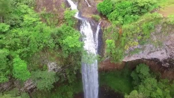 Rain Forest Waterfall Landscape Aerial View Awesome Unspoiled Waterfall Aerial — Stock Video