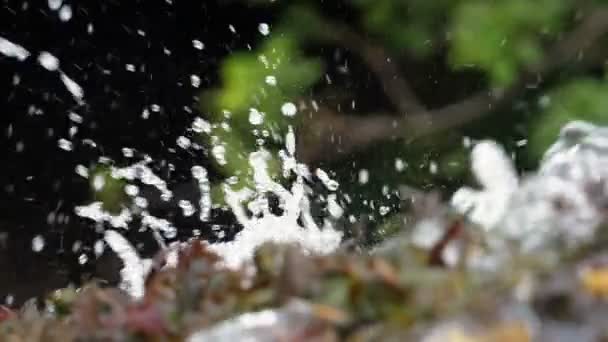 와일드 캐스케이드 Splashing 슬로우 모션에서 닫습니다 야생에 Splashing 물입니다 삭제합니다 — 비디오