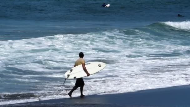 Giovane Surfista Che Cammina Sulla Spiaggia Con Tavola Surf Sotto — Video Stock