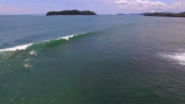 Surfistas Surfando Ondas Grandes Visão Drones Aéreos Surfistas Prontos Para — Vídeo de Stock