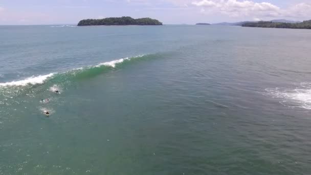 大きなサーフィンのサーファーは波空中ドローン ビューです カリブ海 Sea Water スポーツ動画空中ドローンの波をサーフィンする準備ができてのサーファーを表示します — ストック動画