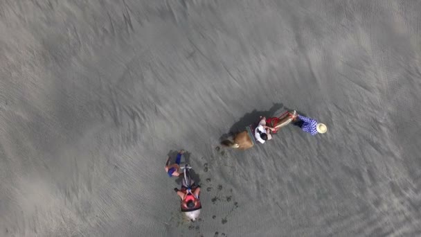 Rodzina Koni Widok Antenowe Drone Pobrzeże Koń Jazda Białej Piaszczystej — Wideo stockowe