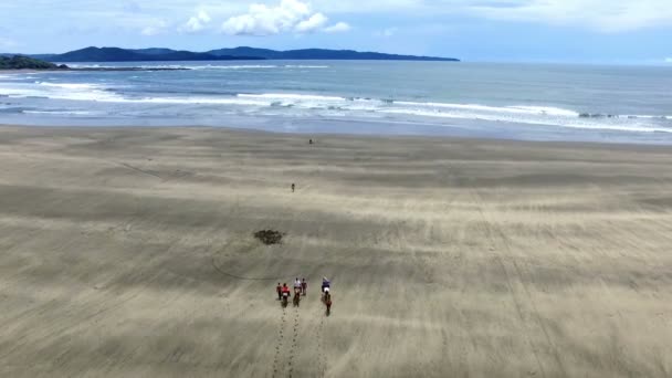 馬に乗って海岸空中ドローン ビューの家族 馬に乗ってビーチの白い砂浜 海で馬に乗ってください — ストック動画