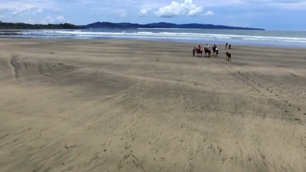 Famille Équitation Chevaux Sur Bord Mer Vue Aérienne Drone Promenade — Video