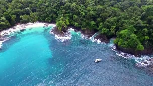 Idílico Paraíso Virgen Virgen Virgen Isla Tropical Vista Aérea Del — Vídeos de Stock