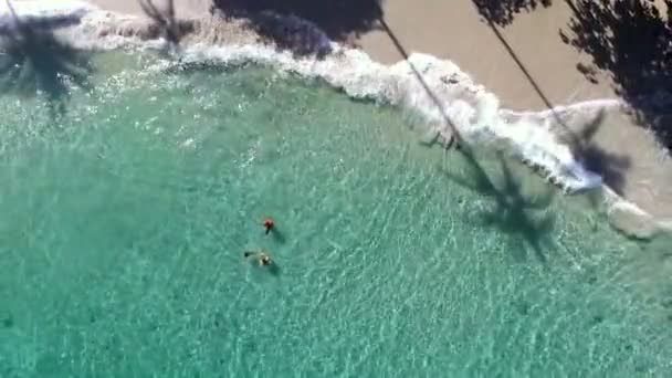 Голубые Нетронутые Воды Карибского Моря Белые Песчаные Пляжи Пальмовые Деревья — стоковое видео