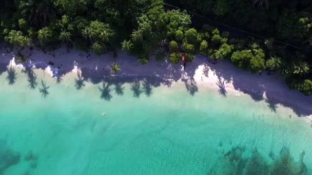 Vergine Incontaminata Caraibi Tropicale Spiaggia Sabbia Bianca Vista Aerea Drone — Video Stock