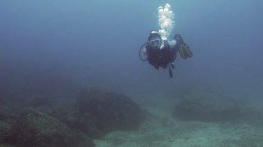 Tüplü Dalış sualtı Karayip Denizi sularının içinde pratik. Sualtı okyanus sucul yaban hayatı izliyor. Mercan kayalığı Karayip Sea.Observing deniz yaşamının sularda dalış.