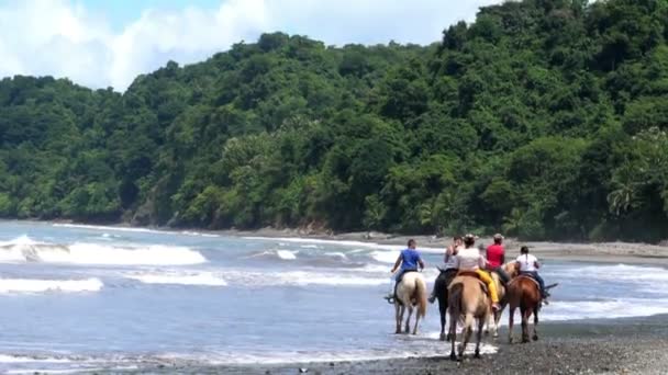 Family Riding Horses Seashore Country Lifestyle Horse Ride White Sands — Stock Video