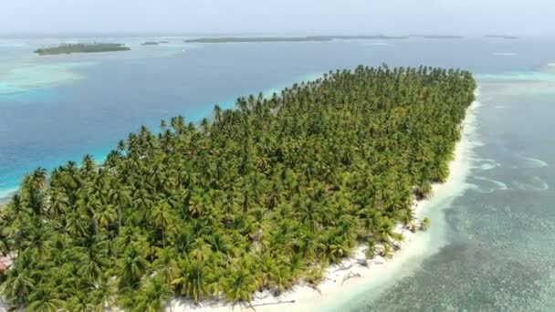 カリブの白い自然のままの砂浜空中ドローン ビュー クリスタルの熱帯の海の横にあるヤシの木が海岸線に沿って飛行します 熱帯の休暇先の楽園島空中ドローン ビュー Holandeses のサンブラス諸島 — ストック動画