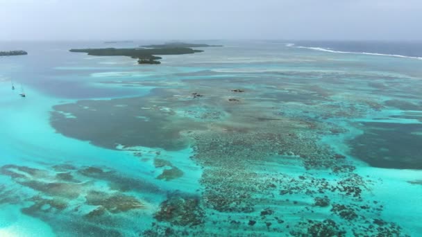 Turkus Rafa Morskich Widoku Antenowe Drone Morze Karaibskie Latające Wzdłuż — Wideo stockowe