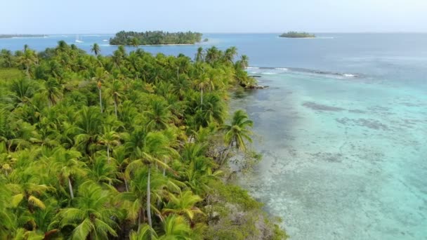 Vista Aérea Drone Praia Areia Intocada Branca Caribenha Voando Longo — Vídeo de Stock