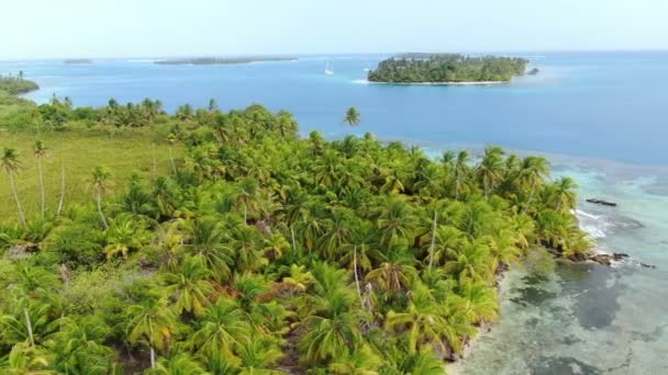 Vista Aérea Drone Praia Areia Intocada Branca Caribenha Voando Longo — Vídeo de Stock