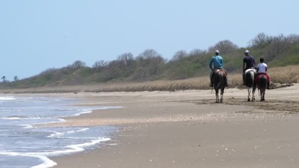 Familia Del Campo Montar Caballo Orilla Del Mar Paseo Caballo — Vídeos de Stock