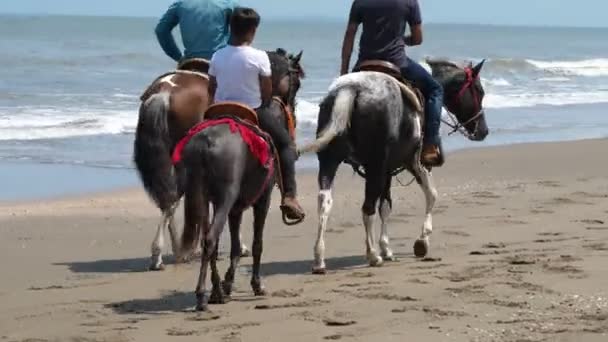 国の家族が馬に乗って海岸のクローズ アップ 馬に乗ってビーチの黄金の砂浜 海で馬に乗ってください — ストック動画