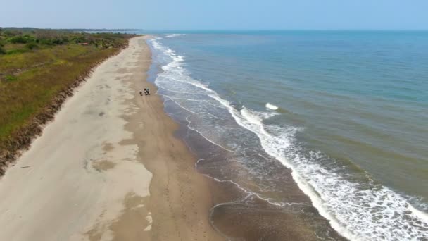 Rodzina Koni Widok Antenowe Drone Pobrzeże Koń Jazda Złote Piaski — Wideo stockowe