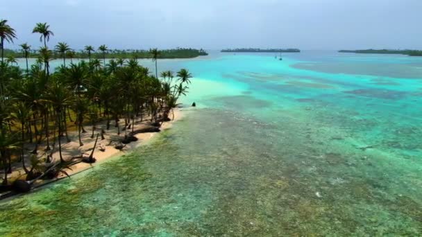 Caribbean White Unspoiled Sandy Beach Aerial Drone View Flying Coastline — Stock Video