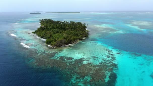Карибский Нетронутый Пляжный Воздушный Дрон Пролетает Вдоль Береговой Линии Пальмовыми — стоковое видео