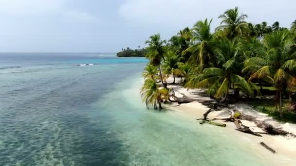 Caribbean White Unspoiled Sandy Beach Aerial Drone View Flying Coastline — Stock Video