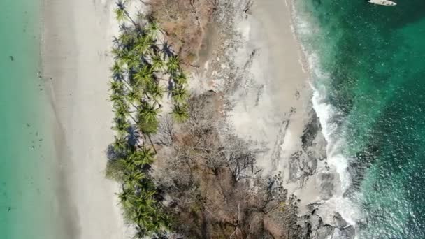 Virgin Unspoiled Caribbean Tropical White Sandy Beach Aerial Drone View — Stock Video