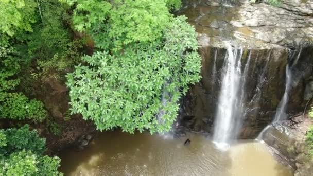 熱帯雨林の滝風景空中ドローンビュー 素晴らしい手つかずの滝空中垂直ドローンビュー アメリカのカリブ海の川が熱帯雨林に流れ込む エンカント エスパルサ カスケード — ストック動画