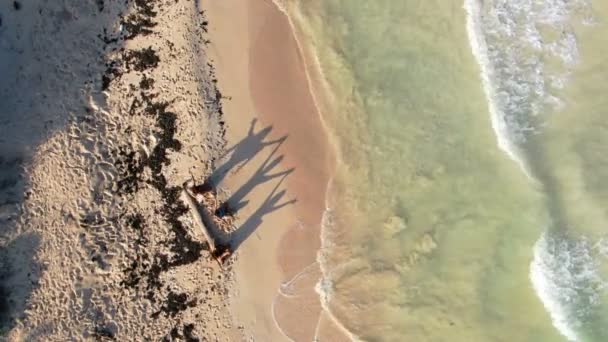 3名妇女在图卢姆海滩放松 里维拉 玛雅在空中俯瞰 蓝色清澈的海水和白色的沙滩 在热带风景空中无人俯瞰 加勒比海尤卡坦半岛令人敬畏的高空无人驾驶飞机景观 — 图库视频影像