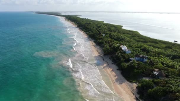 Tulum Sahili Rivera Maya Hava Aracı Görüntüsü Mavi Berrak Sular — Stok video